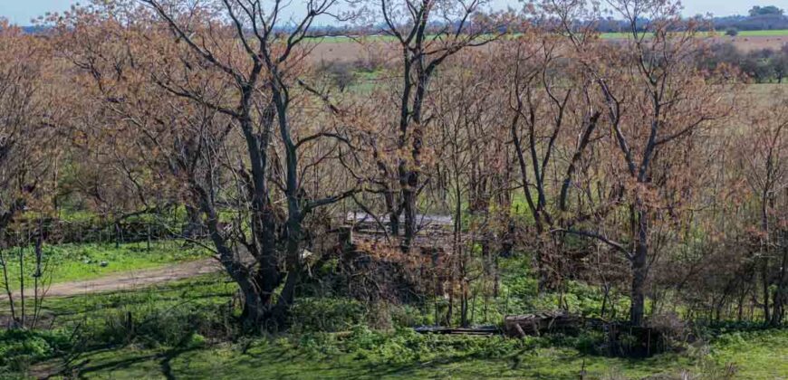 Campo mixto de 180 hectáreas en Lobos, Bs As