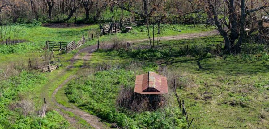 Campo mixto de 180 hectáreas en Lobos, Bs As