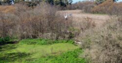 Campo mixto de 180 hectáreas en Lobos, Bs As