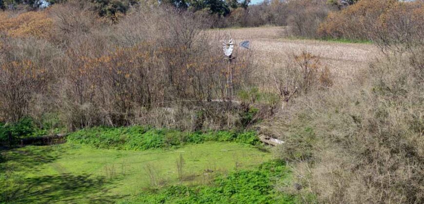 Campo mixto de 180 hectáreas en Lobos, Bs As