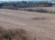 Campo mixto de 180 hectáreas en Lobos, Bs As