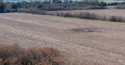 Campo mixto de 180 hectáreas en Lobos, Bs As