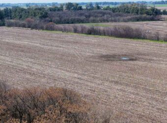 Campo mixto de 180 hectáreas en Lobos, Bs As