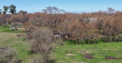Campo mixto de 180 hectáreas en Lobos, Bs As