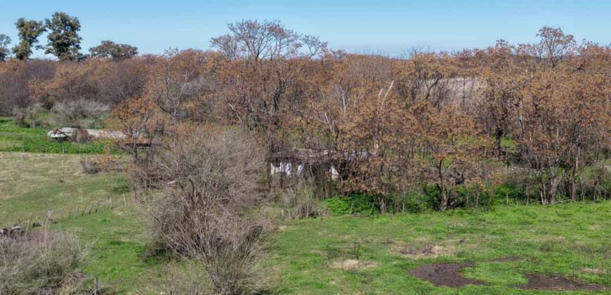 Campo mixto de 180 hectáreas en Lobos, Bs As