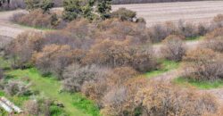 Campo mixto de 180 hectáreas en Lobos, Bs As