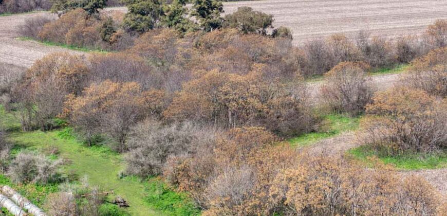 Campo mixto de 180 hectáreas en Lobos, Bs As