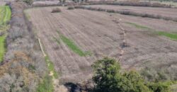Campo mixto de 180 hectáreas en Lobos, Bs As