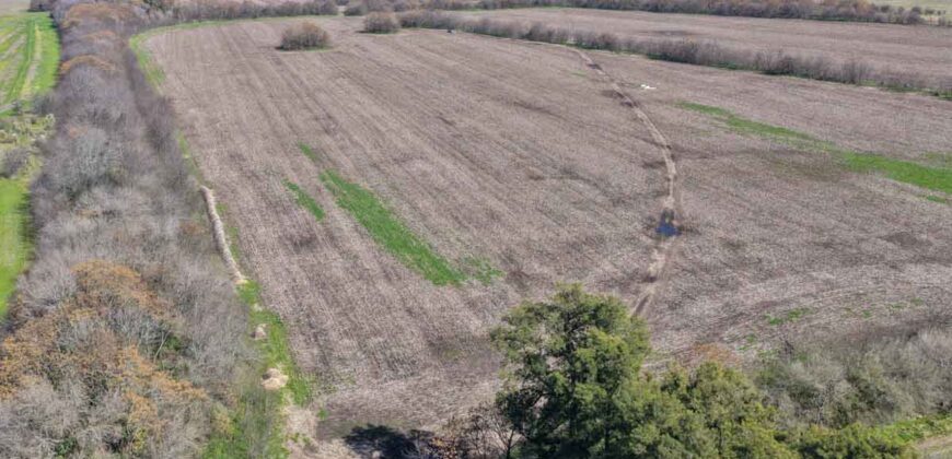 Campo mixto de 180 hectáreas en Lobos, Bs As