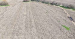 Campo mixto de 180 hectáreas en Lobos, Bs As