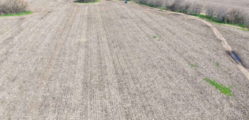 Campo mixto de 180 hectáreas en Lobos, Bs As