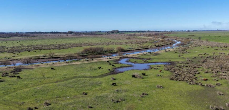 Campo mixto de 180 hectáreas en Lobos, Bs As