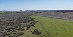 Campo mixto de 180 hectáreas en Lobos, Bs As