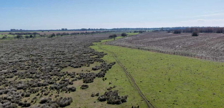Campo mixto de 180 hectáreas en Lobos, Bs As