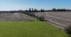 Campo mixto de 180 hectáreas en Lobos, Bs As