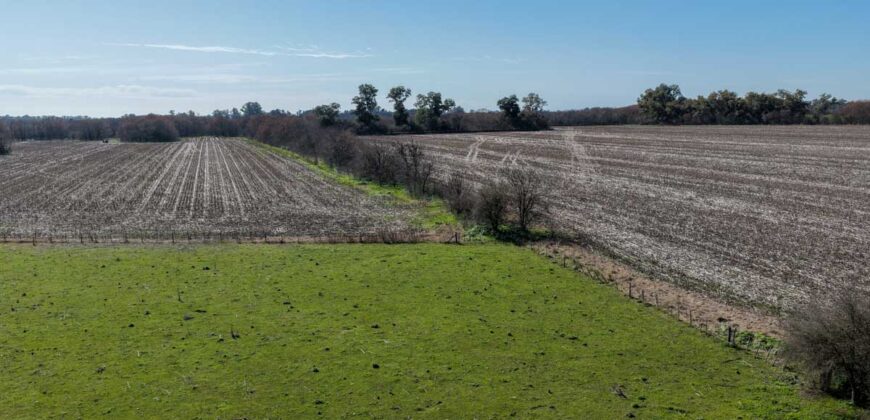 Campo mixto de 180 hectáreas en Lobos, Bs As