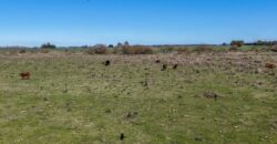 Campo mixto de 180 hectáreas en Lobos, Bs As