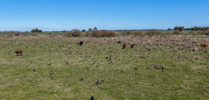 Campo mixto de 180 hectáreas en Lobos, Bs As