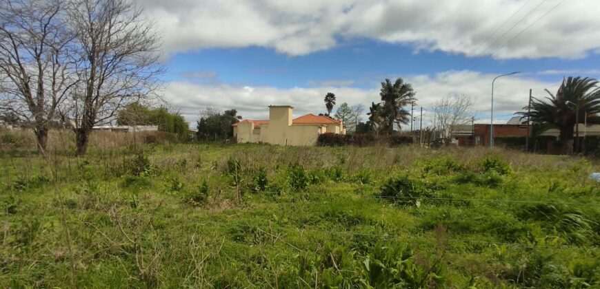 LOTEO | desde 722 m2