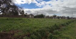 LOTEO | desde 722 m2