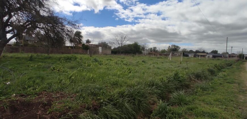 LOTEO | desde 722 m2