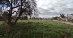 LOTEO | desde 722 m2